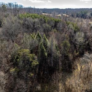 Photo #10 of 3.94 AC PEACE AND QUIET CIR, REVA, VA 3.9 acres