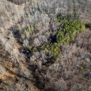 Photo #8 of 3.94 AC PEACE AND QUIET CIR, REVA, VA 3.9 acres