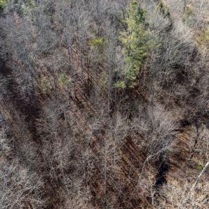 Photo #17 of 3.94 AC PEACE AND QUIET CIR, REVA, VA 3.9 acres