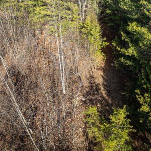 Photo #18 of 3.94 AC PEACE AND QUIET CIR, REVA, VA 3.9 acres