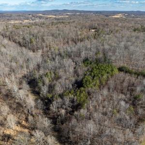 Photo #7 of 3.94 AC PEACE AND QUIET CIR, REVA, VA 3.9 acres