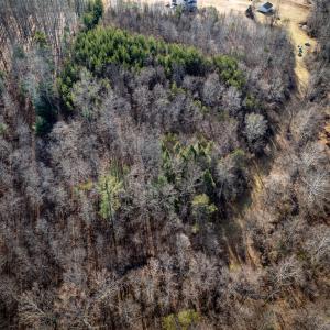 Photo #12 of 3.94 AC PEACE AND QUIET CIR, REVA, VA 3.9 acres