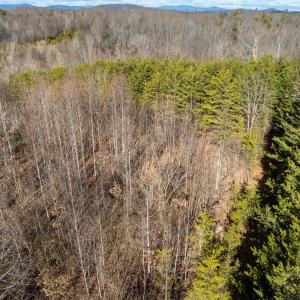 Photo #4 of 3.94 AC PEACE AND QUIET CIR, REVA, VA 3.9 acres