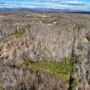 Photo #16 of 3.94 AC PEACE AND QUIET CIR, REVA, VA 3.9 acres