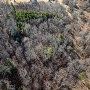 Photo #14 of 3.94 AC PEACE AND QUIET CIR, REVA, VA 3.9 acres