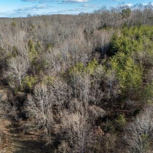 Photo #9 of 3.94 AC PEACE AND QUIET CIR, REVA, VA 3.9 acres