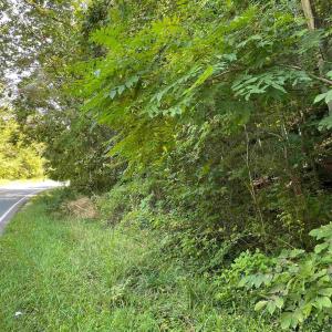 Photo #10 of TBD BEECH GROVE RD, ROSELAND, VA 4.3 acres