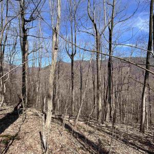 Photo #13 of TBD BEECH GROVE RD, ROSELAND, VA 4.3 acres