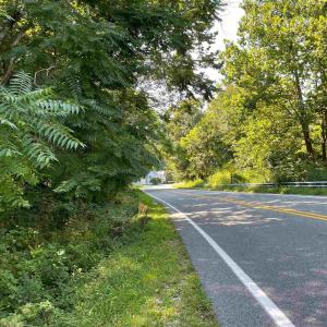 Photo #11 of TBD BEECH GROVE RD, ROSELAND, VA 4.3 acres