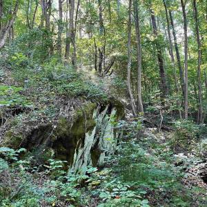 Photo #7 of TBD BEECH GROVE RD, ROSELAND, VA 4.3 acres