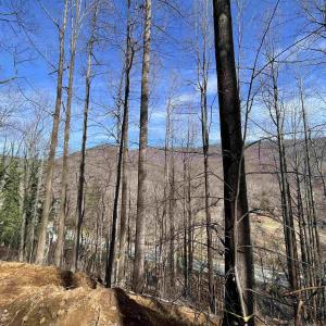 Photo #3 of TBD BEECH GROVE RD, ROSELAND, VA 4.3 acres