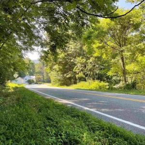 Photo #8 of TBD BEECH GROVE RD, ROSELAND, VA 4.3 acres