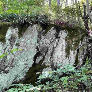 Photo #6 of TBD BEECH GROVE RD, ROSELAND, VA 4.3 acres