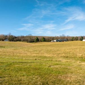 Photo #11 of 7.7 ac FLAT ROCK RD, NEW MARKET, VA 7.7 acres