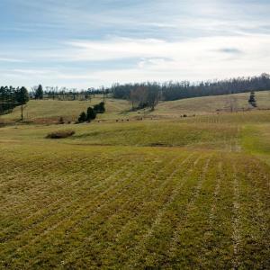 Photo #17 of 7.7 ac FLAT ROCK RD, NEW MARKET, VA 7.7 acres