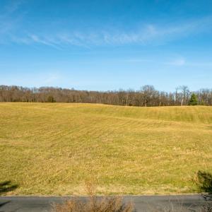 Photo #22 of 7.9 ac FLAT ROCK RD, NEW MARKET, VA 8.0 acres