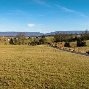 Photo #24 of 7.9 ac FLAT ROCK RD, NEW MARKET, VA 8.0 acres