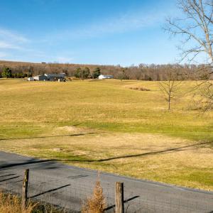 Photo #21 of 7.9 ac FLAT ROCK RD, NEW MARKET, VA 8.0 acres