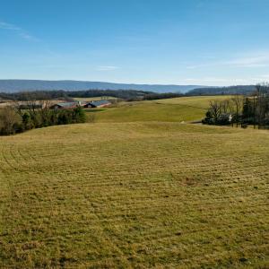 Photo #26 of 7.9 ac FLAT ROCK RD, NEW MARKET, VA 8.0 acres