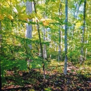 Photo #1 of Lot 1154 FERNDALE DR, LOUISA, VA 0.3 acres