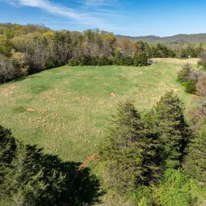 Photo #3 of lot 1 EVELYNS WAY, STANARDSVILLE, VA 2.1 acres
