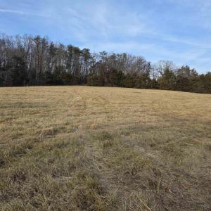 Photo #10 of lot 1 EVELYNS WAY, STANARDSVILLE, VA 2.1 acres
