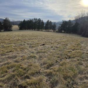 Photo #8 of lot 1 EVELYNS WAY, STANARDSVILLE, VA 2.1 acres