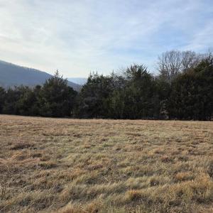 Photo #11 of lot 1 EVELYNS WAY, STANARDSVILLE, VA 2.1 acres