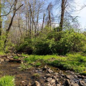 Photo #4 of lot 5 EVELYNS WAY, STANARDSVILLE, VA 21.4 acres