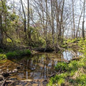 Photo #5 of lot 6 EVELYNS WAY, STANARDSVILLE, VA 23.5 acres