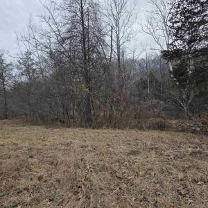 Photo #7 of lot 6 EVELYNS WAY, STANARDSVILLE, VA 23.5 acres