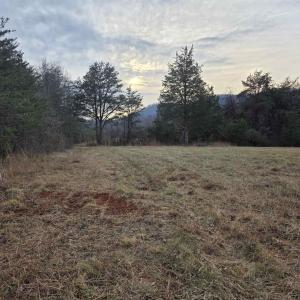 Photo #6 of lot 7 EVELYNS WAY, STANARDSVILLE, VA 10.2 acres