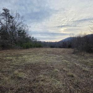 Photo #3 of lot 7 EVELYNS WAY, STANARDSVILLE, VA 10.2 acres