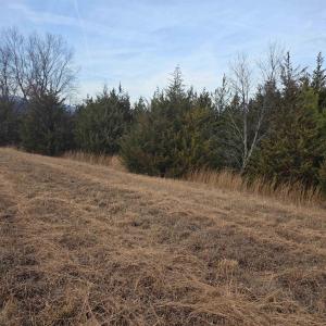 Photo #5 of lot 8 EVELYNS WAY, STANARDSVILLE, VA 2.1 acres