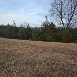 Photo #6 of lot 9 EVELYNS WAY, STANARDSVILLE, VA 10.2 acres