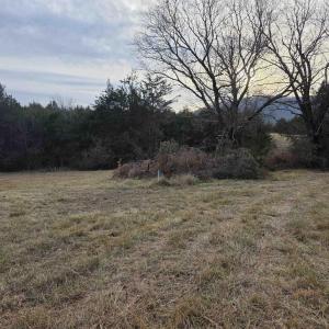 Photo #4 of lot 11 EVELYNS WAY, STANARDSVILLE, VA 2.5 acres