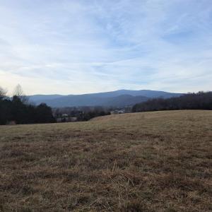 Photo #5 of lot 12 PEA RIDGE RD, STANARDSVILLE, VA 2.0 acres