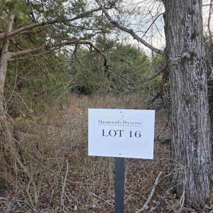 Photo #4 of lot 16 PEA RIDGE RD, STANARDSVILLE, VA 2.0 acres