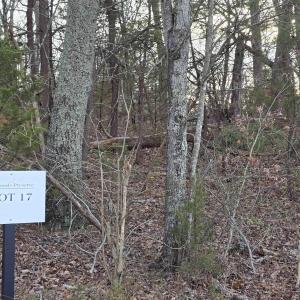 Photo #5 of lot 17 PEA RIDGE RD, STANARDSVILLE, VA 2.0 acres