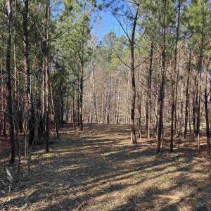 Photo #2 of 3860-1 GILBERT STATION RD, BARBOURSVILLE, VA 2.1 acres