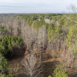 Photo #7 of 3860-1 GILBERT STATION RD, BARBOURSVILLE, VA 2.1 acres