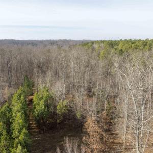 Photo #9 of 3860-1 GILBERT STATION RD, BARBOURSVILLE, VA 2.1 acres