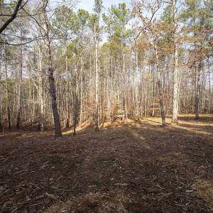 Photo #5 of 3860-1 GILBERT STATION RD, BARBOURSVILLE, VA 2.1 acres