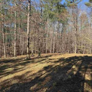 Photo #3 of 3860-1 GILBERT STATION RD, BARBOURSVILLE, VA 2.1 acres