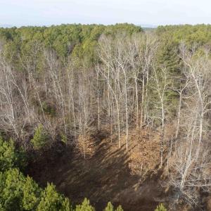 Photo #10 of 3860-1 GILBERT STATION RD, BARBOURSVILLE, VA 2.1 acres