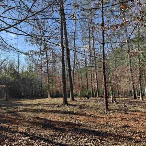 Photo #5 of 3860-2 GILBERT STATION RD, BARBOURSVILLE, VA 2.1 acres