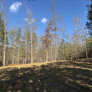 Photo #8 of 3860-2 GILBERT STATION RD, BARBOURSVILLE, VA 2.1 acres