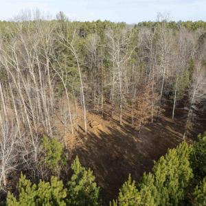 Photo #11 of 3860-2 GILBERT STATION RD, BARBOURSVILLE, VA 2.1 acres