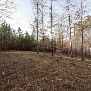 Photo #3 of 3860-2 GILBERT STATION RD, BARBOURSVILLE, VA 2.1 acres