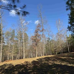 Photo #9 of 3860-2 GILBERT STATION RD, BARBOURSVILLE, VA 2.1 acres